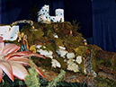 %_tempFileName053%20presepio%202006%20%